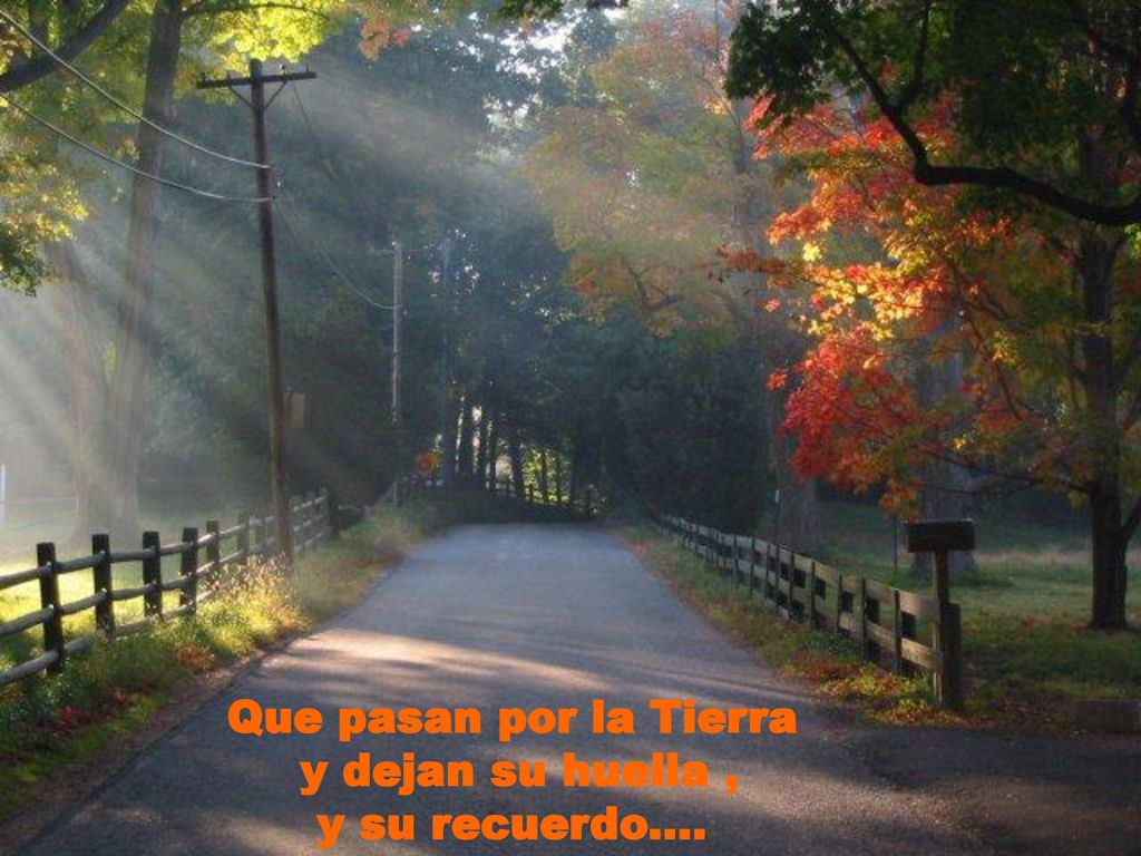 Que pasan por la Tierra y dejan su huella , y su recuerdo....