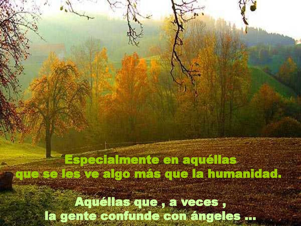Especialmente en aquéllas que se les ve algo más que la humanidad.