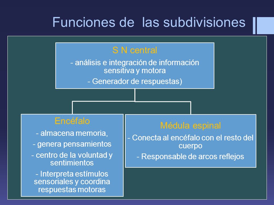 Funciones de las subdivisiones
