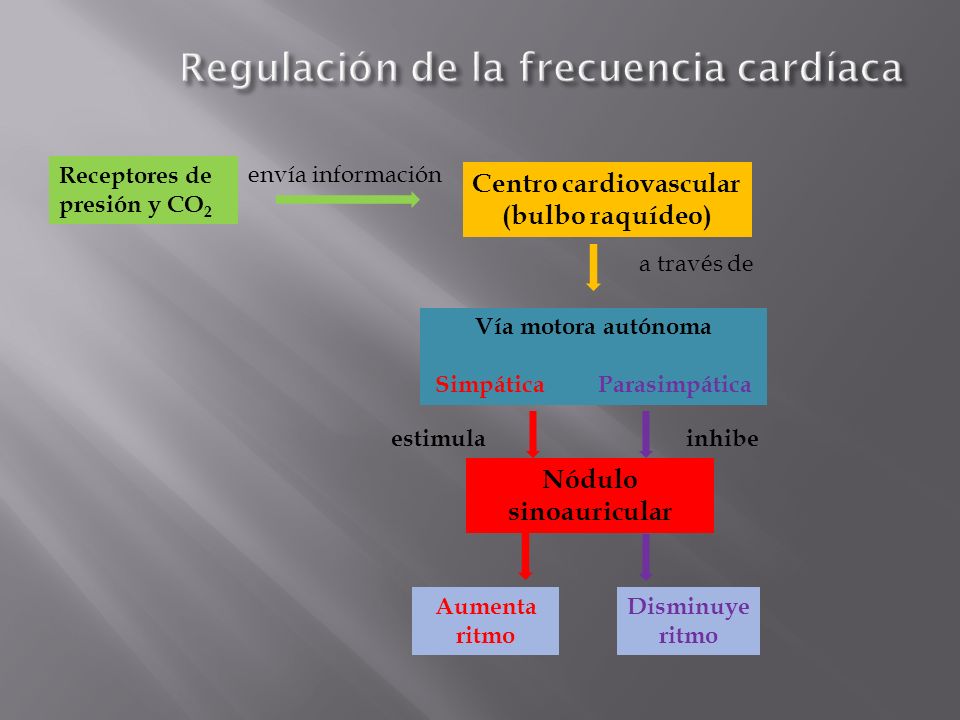 Regulación de la frecuencia cardíaca