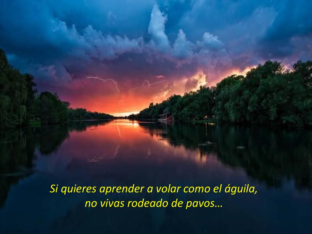Si quieres aprender a volar como el águila, no vivas rodeado de pavos…