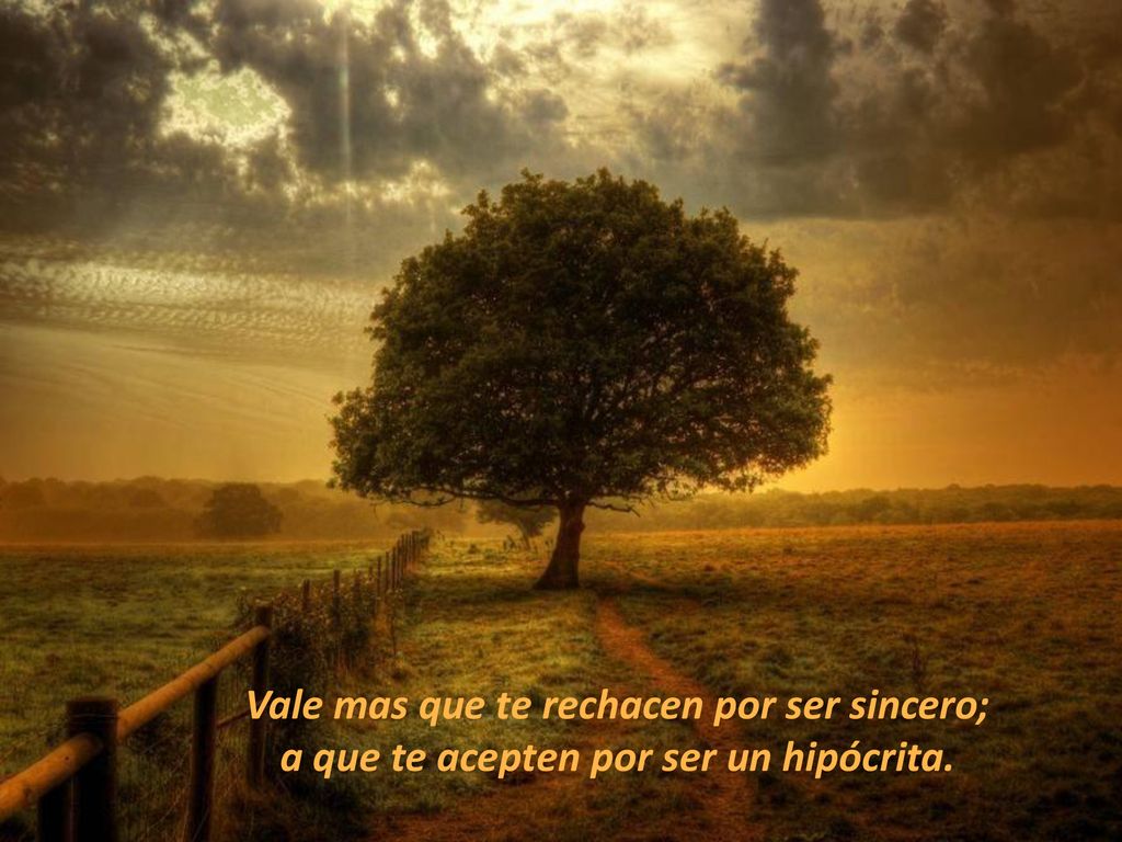 Vale mas que te rechacen por ser sincero; a que te acepten por ser un hipócrita.
