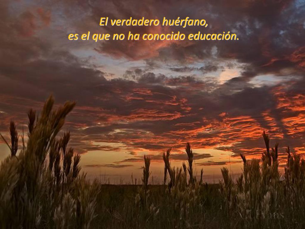 El verdadero huérfano, es el que no ha conocido educación.