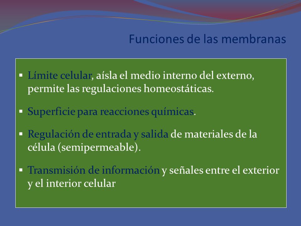 Funciones de las membranas