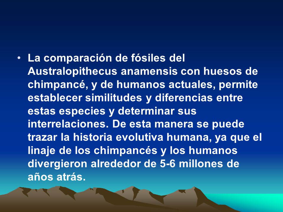 La comparación de fósiles del Australopithecus anamensis con huesos de chimpancé, y de humanos actuales, permite establecer similitudes y diferencias entre estas especies y determinar sus interrelaciones.