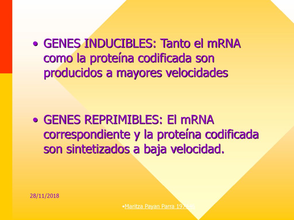 GENES INDUCIBLES: Tanto el mRNA como la proteína codificada son producidos a mayores velocidades