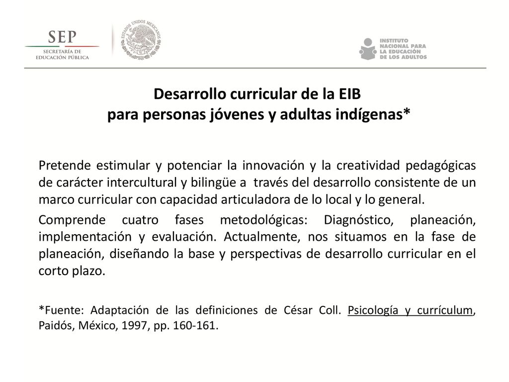 Desarrollo curricular de la EIB para personas jóvenes y adultas indígenas*
