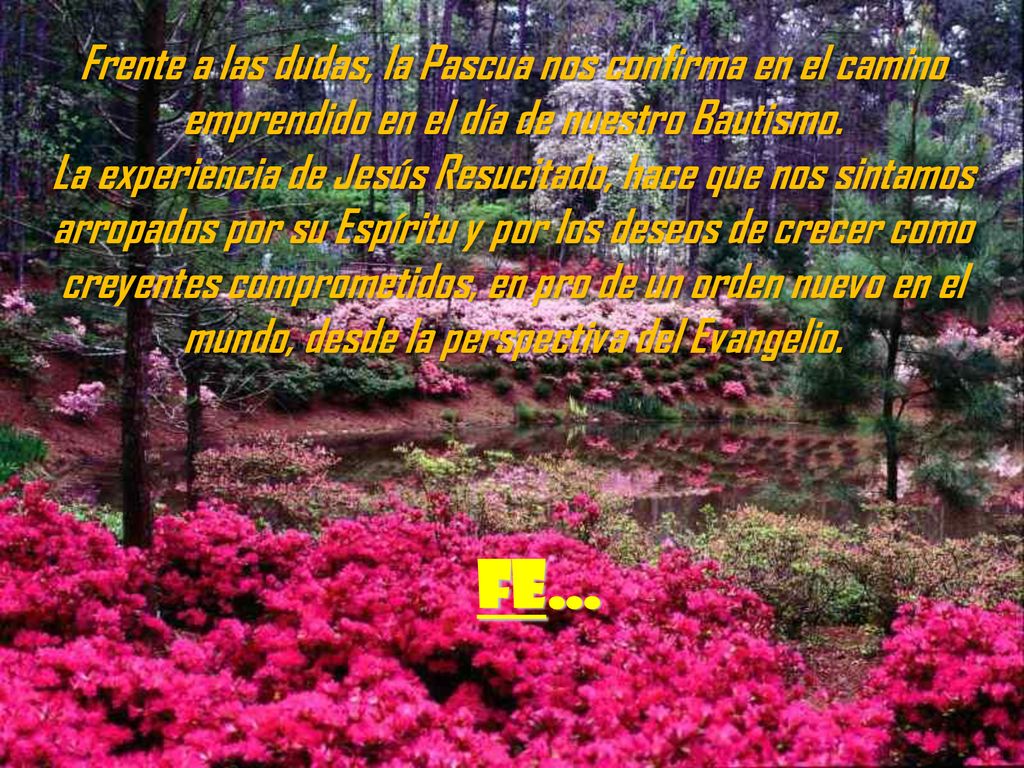 Frente a las dudas, la Pascua nos confirma en el camino emprendido en el día de nuestro Bautismo. La experiencia de Jesús Resucitado, hace que nos sintamos arropados por su Espíritu y por los deseos de crecer como creyentes comprometidos, en pro de un orden nuevo en el mundo, desde la perspectiva del Evangelio.