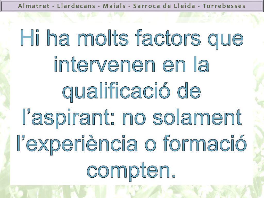 Hi ha molts factors que intervenen en la qualificació de l’aspirant: no solament l’experiència o formació compten.