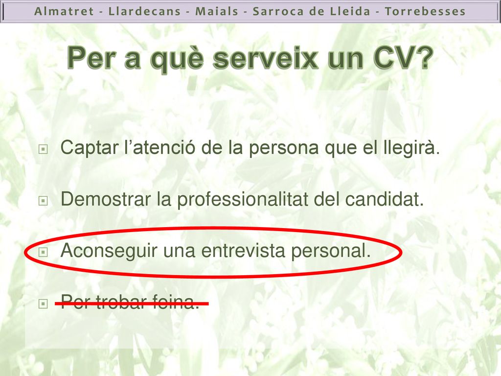 Per a què serveix un CV Captar l’atenció de la persona que el llegirà. Demostrar la professionalitat del candidat.