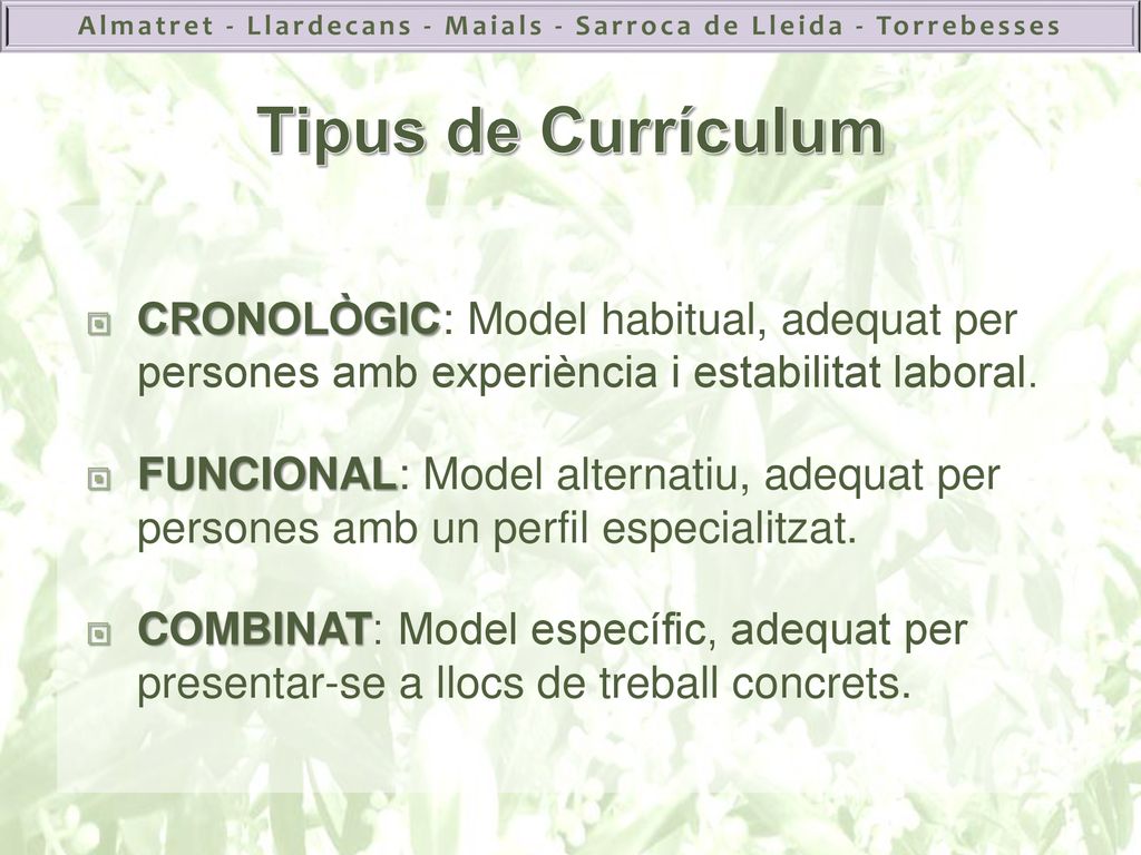 Tipus de Currículum CRONOLÒGIC: Model habitual, adequat per persones amb experiència i estabilitat laboral.