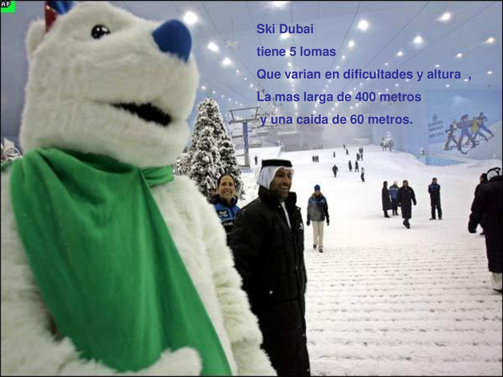 Ski Dubai tiene 5 lomas. Que varian en dificultades y altura , La mas larga de 400 metros.