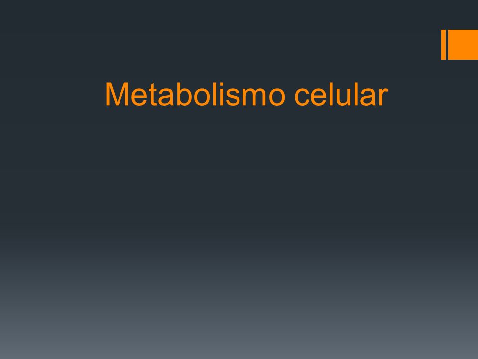 Metabolismo celular