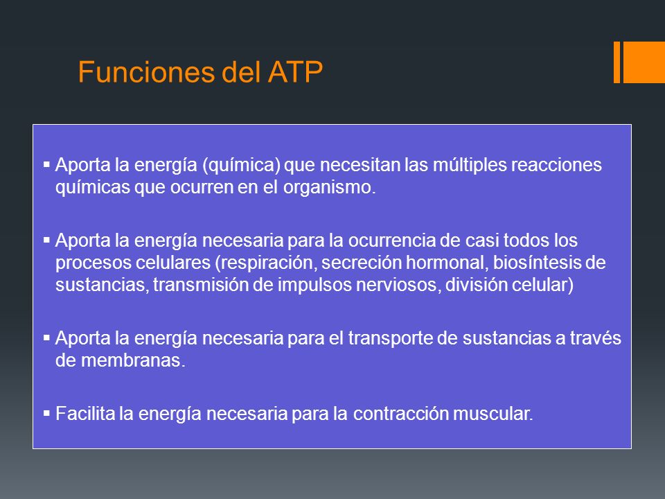 Funciones del ATP Aporta la energía (química) que necesitan las múltiples reacciones químicas que ocurren en el organismo.