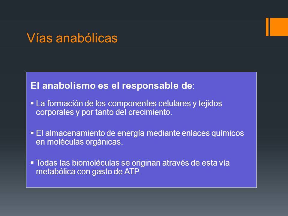 Vías anabólicas El anabolismo es el responsable de: