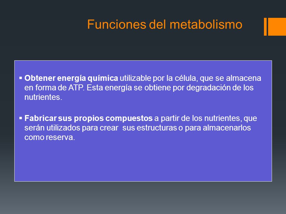 Funciones del metabolismo