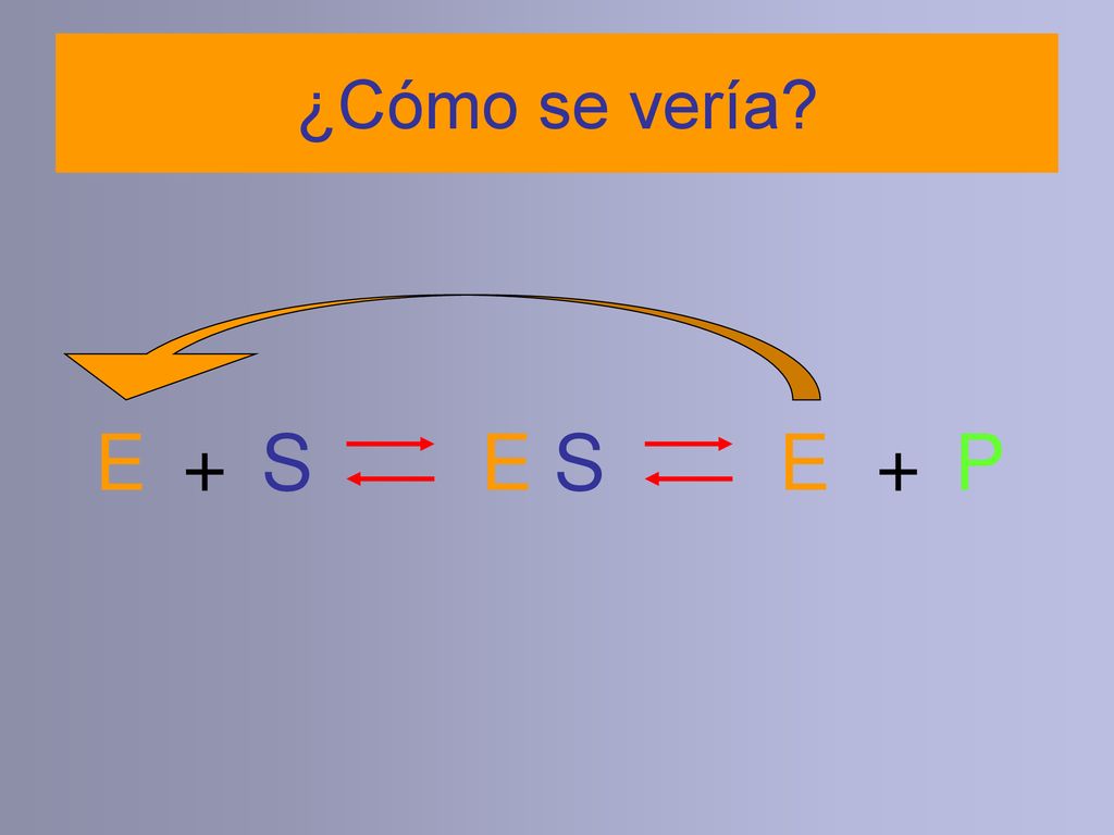 ¿Cómo se vería E + S E S E + P