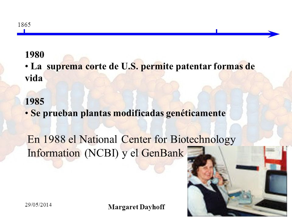 La suprema corte de U.S. permite patentar formas de vida Se prueban plantas modificadas genéticamente.
