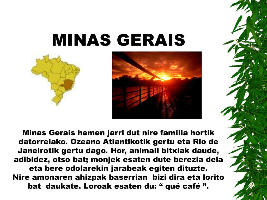 MINAS GERAIS Minas Gerais hemen jarri dut nire familia hortik datorrelako.