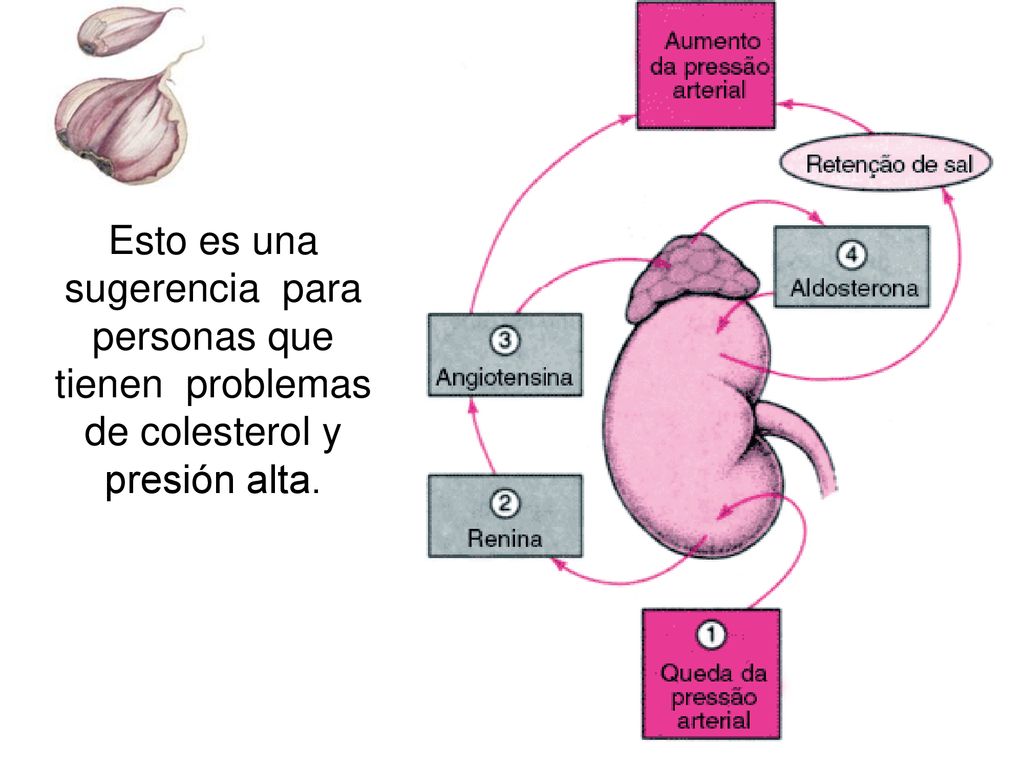 Esto es una sugerencia para personas que tienen problemas de colesterol y presión alta.