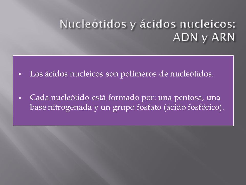 Nucleótidos y ácidos nucleicos: ADN y ARN