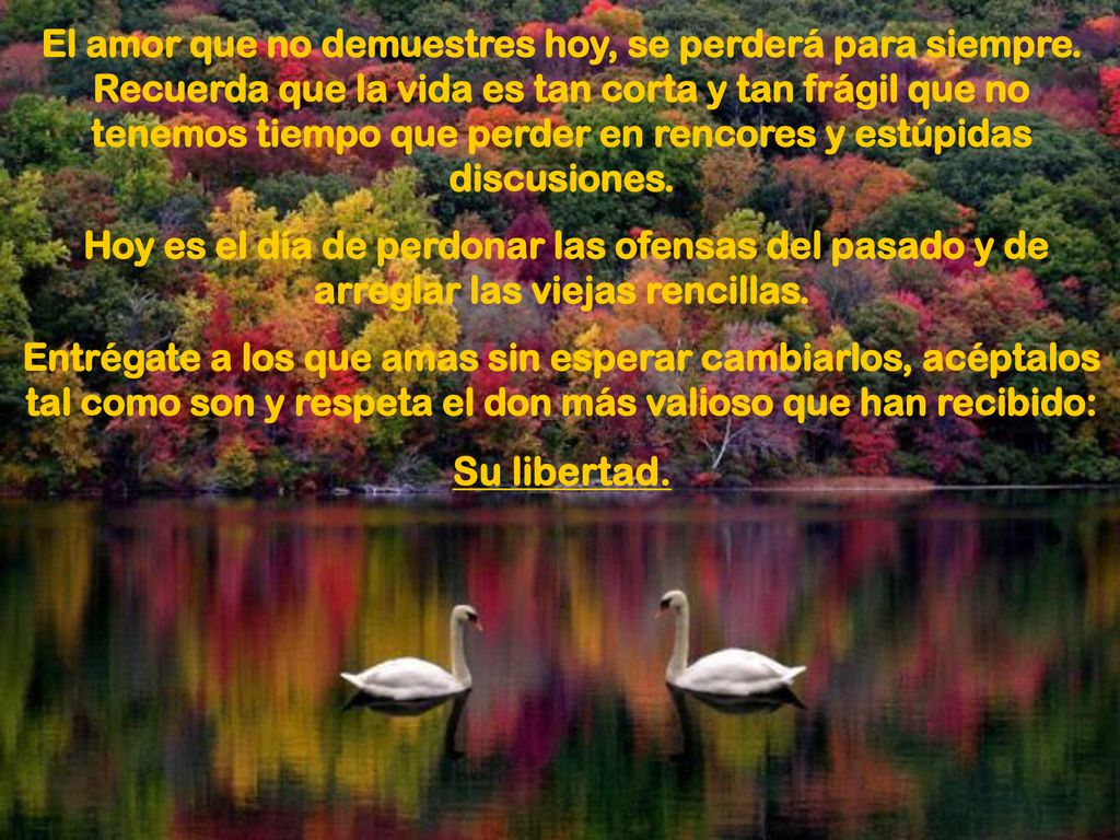 El amor que no demuestres hoy, se perderá para siempre