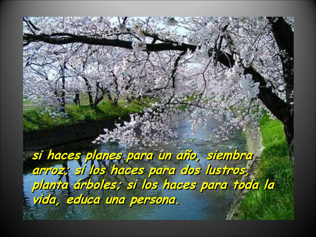 si haces planes para un año, siembra arroz; si los haces para dos lustros, planta árboles; si los haces para toda la vida, educa una persona.