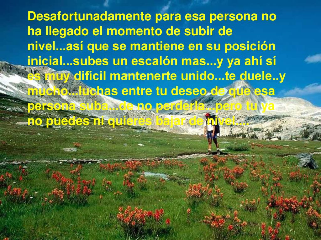 Desafortunadamente para esa persona no ha llegado el momento de subir de nivel...así que se mantiene en su posición inicial...subes un escalón mas...y ya ahí sí es muy difícil mantenerte unido...te duele..y mucho...luchas entre tu deseo de que esa persona suba...de no perderla...pero tu ya no puedes ni quieres bajar de nivel....