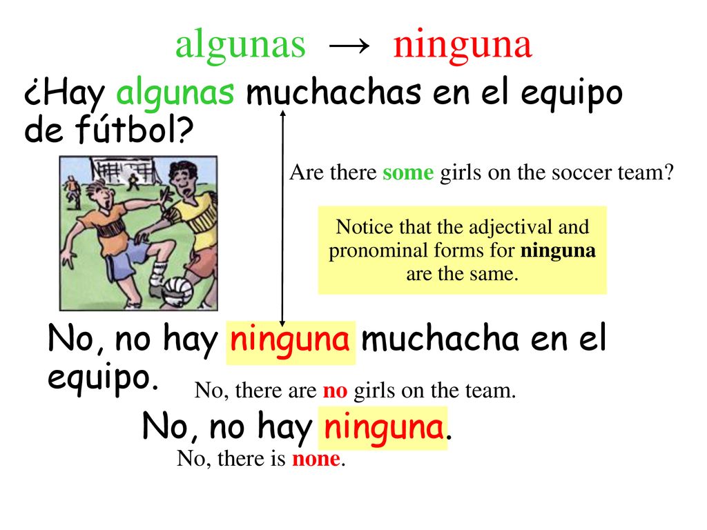 algunas → ninguna ¿Hay algunas muchachas en el equipo de fútbol
