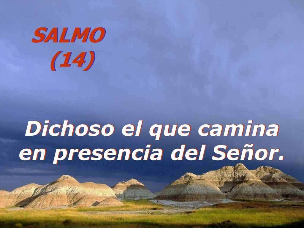 SALMO (14) Dichoso el que camina en presencia del Señor.