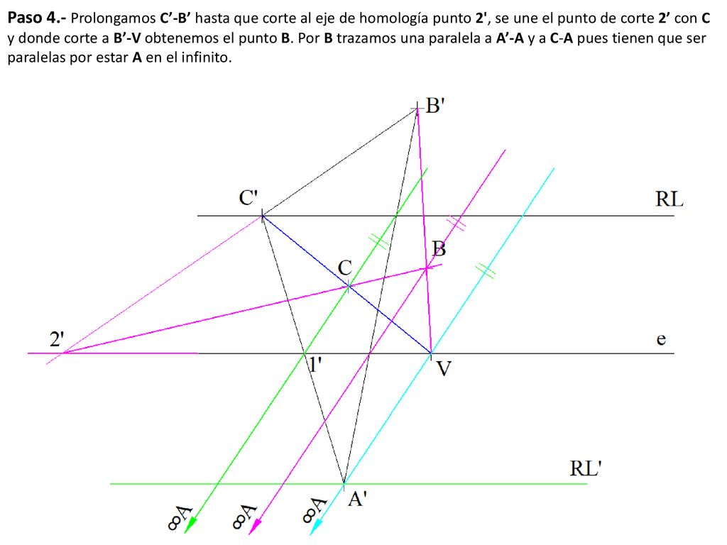 Paso 4.- Prolongamos C’-B’ hasta que corte al eje de homología punto 2 , se une el punto de corte 2’ con C y donde corte a B’-V obtenemos el punto B.