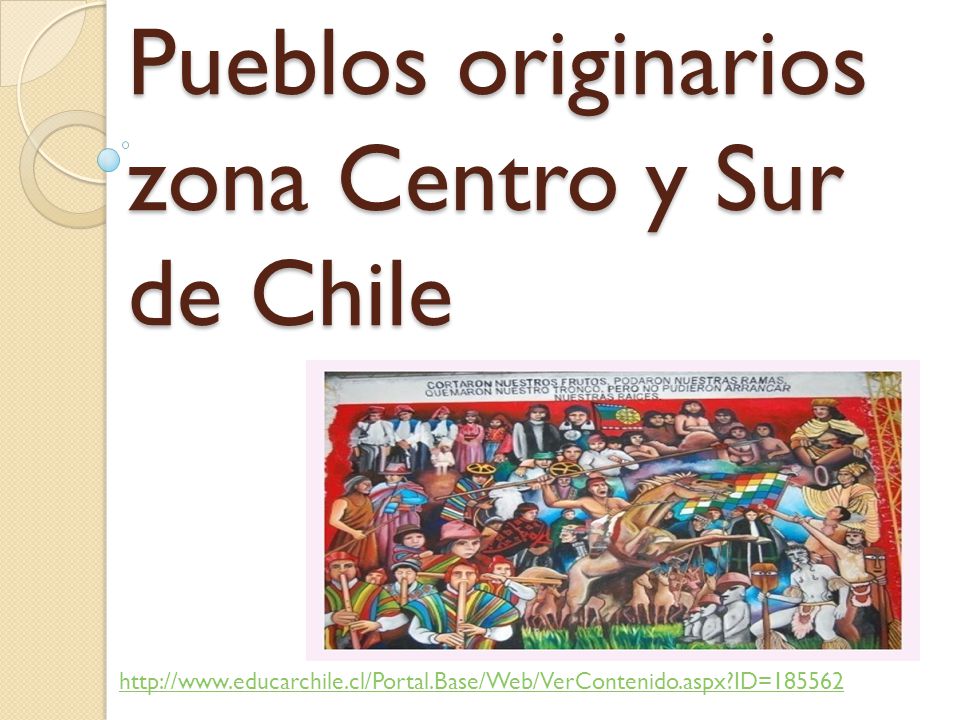 Pueblos originarios zona Centro y Sur de Chile