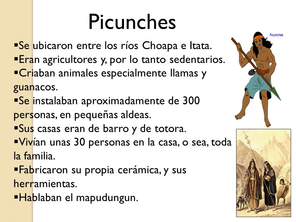 Picunches Se ubicaron entre los ríos Choapa e Itata.