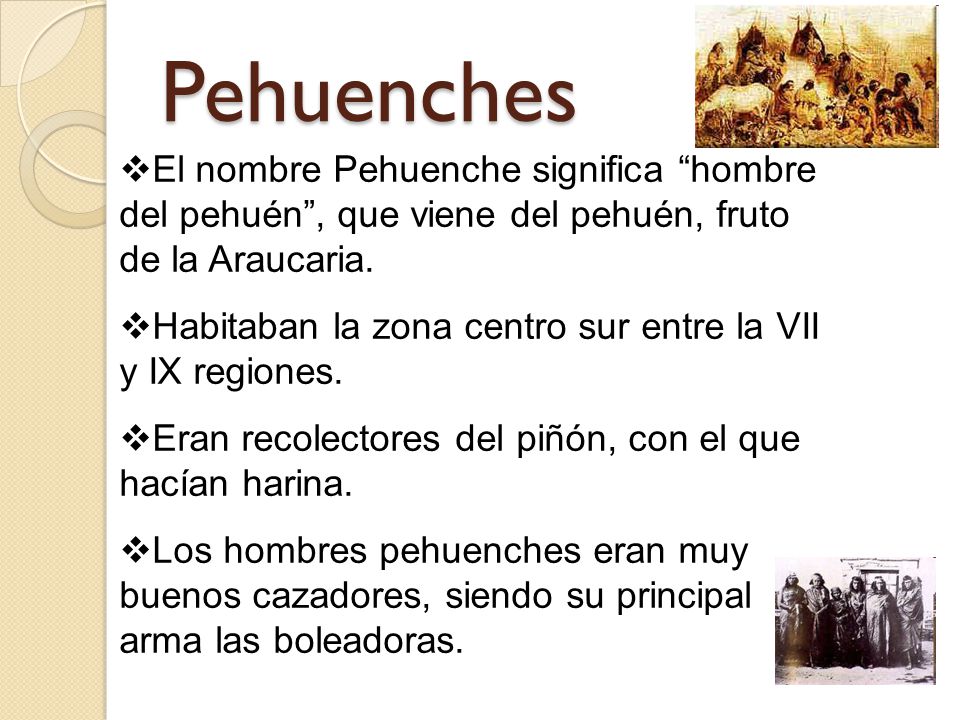 Pehuenches El nombre Pehuenche significa hombre del pehuén , que viene del pehuén, fruto de la Araucaria.