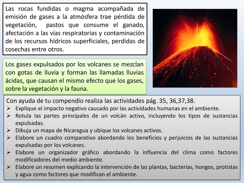 Con ayuda de tu compendio realiza las actividades pág. 35, 36,37,38.