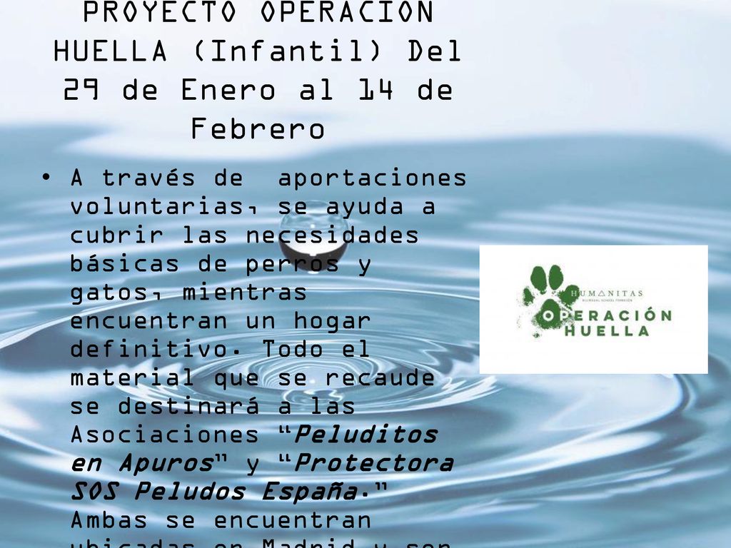 PROYECTO OPERACIÓN HUELLA (Infantil) Del 29 de Enero al 14 de Febrero