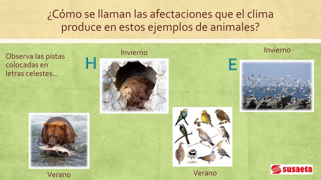 ¿Cómo se llaman las afectaciones que el clima produce en estos ejemplos de animales