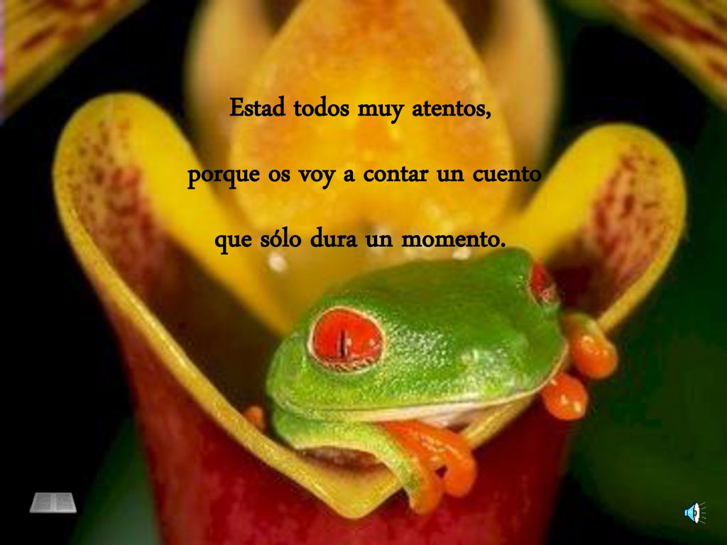 Estad todos muy atentos, porque os voy a contar un cuento