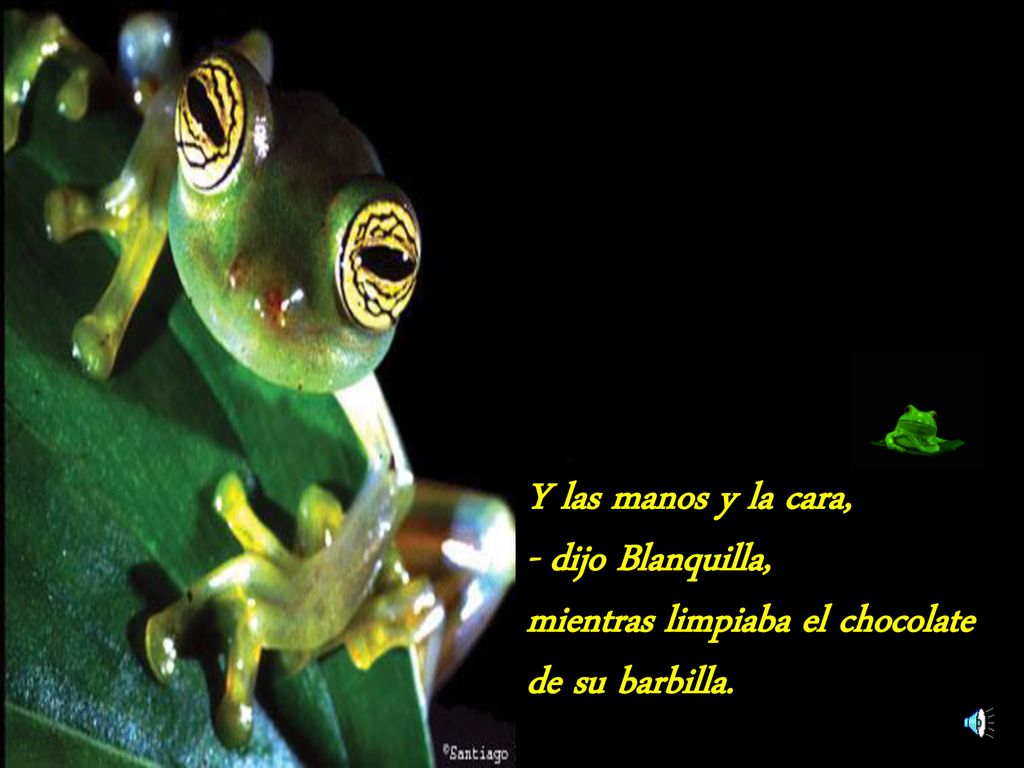 Y las manos y la cara, - dijo Blanquilla, mientras limpiaba el chocolate de su barbilla.