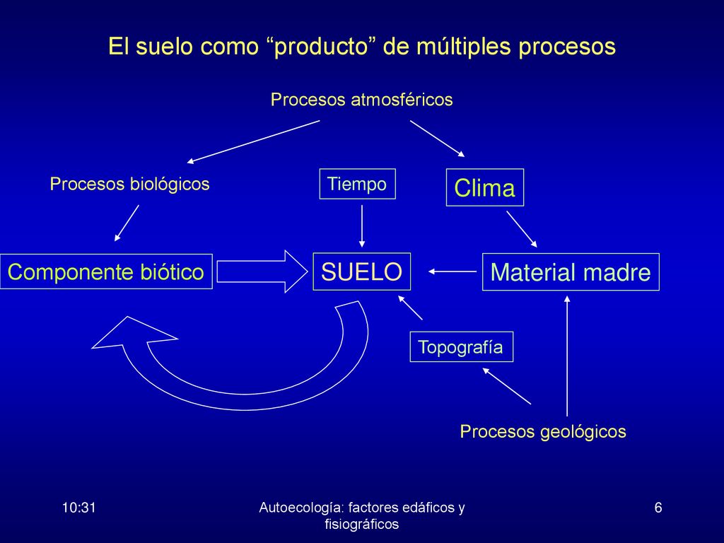 El suelo como producto de múltiples procesos