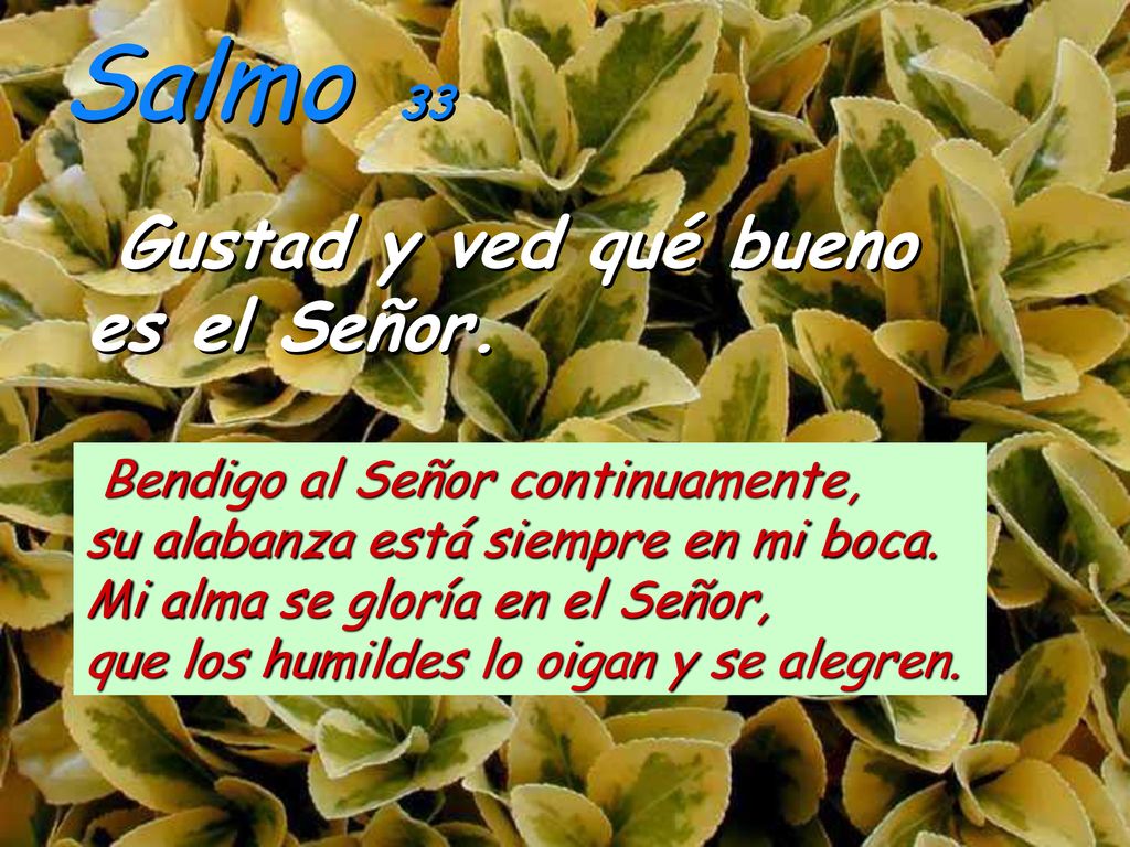 Salmo 33 Gustad y ved qué bueno es el Señor.