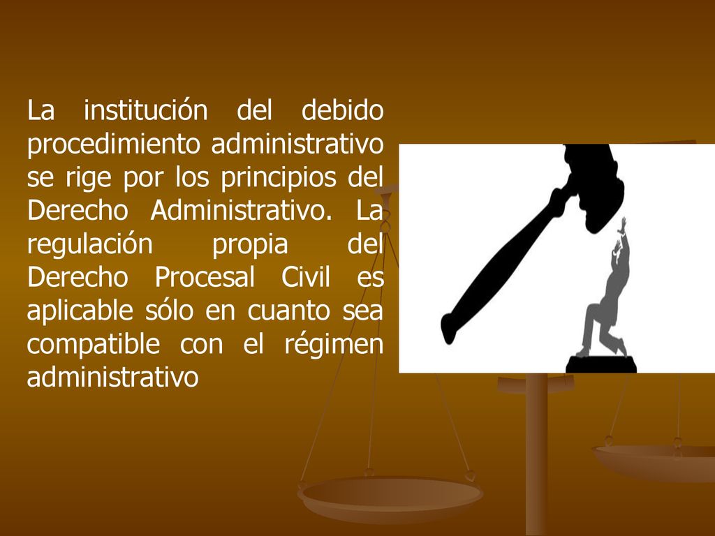 La institución del debido procedimiento administrativo se rige por los principios del Derecho Administrativo.