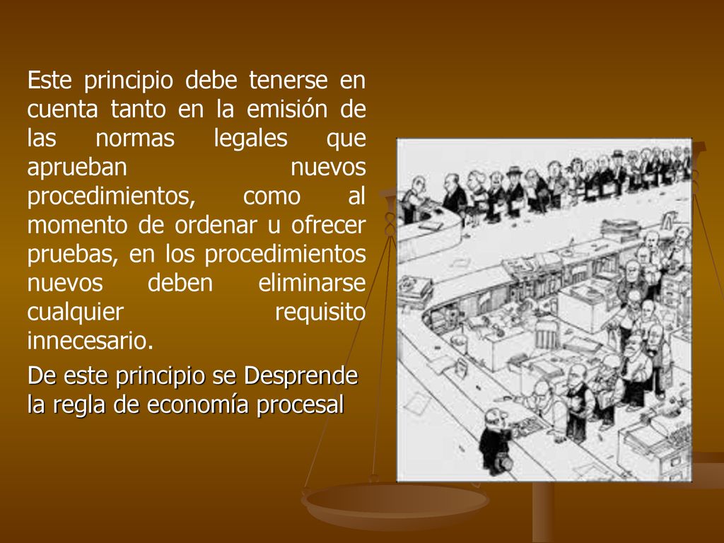 Este principio debe tenerse en cuenta tanto en la emisión de las normas legales que aprueban nuevos procedimientos, como al momento de ordenar u ofrecer pruebas, en los procedimientos nuevos deben eliminarse cualquier requisito innecesario.