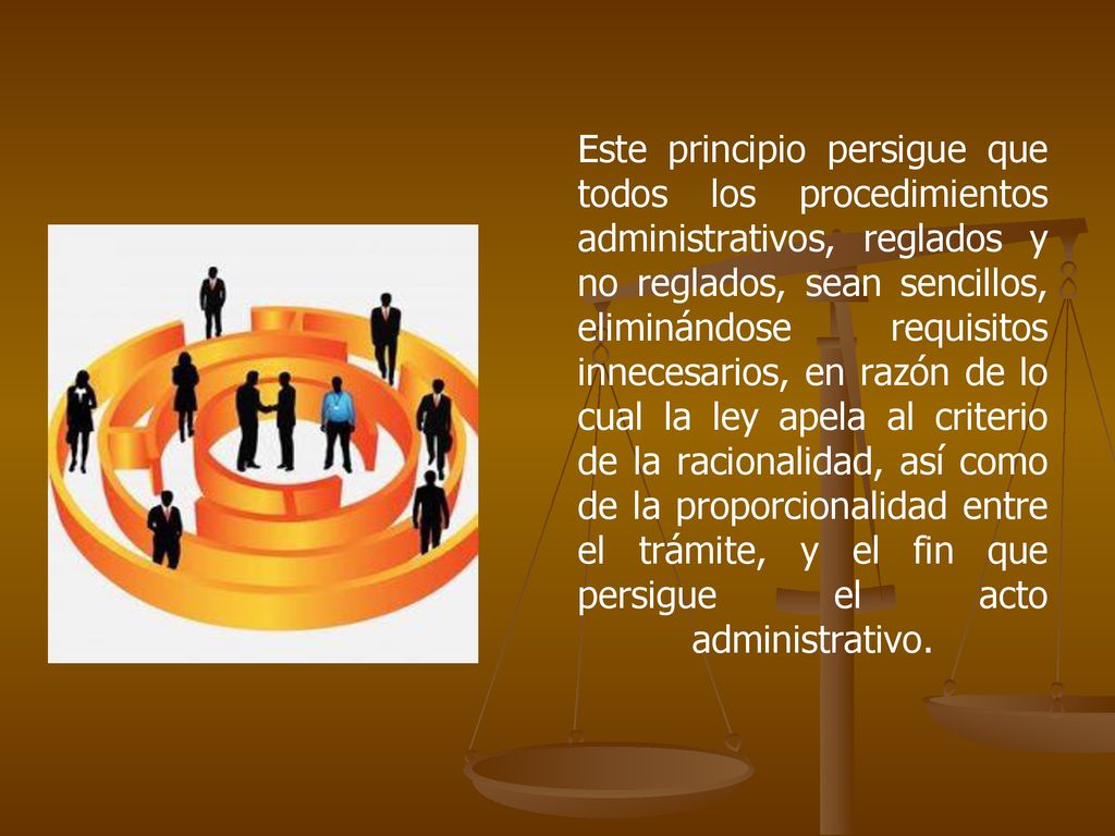 Este principio persigue que todos los procedimientos administrativos, reglados y no reglados, sean sencillos, eliminándose requisitos innecesarios, en razón de lo cual la ley apela al criterio de la racionalidad, así como de la proporcionalidad entre el trámite, y el fin que persigue el acto administrativo.