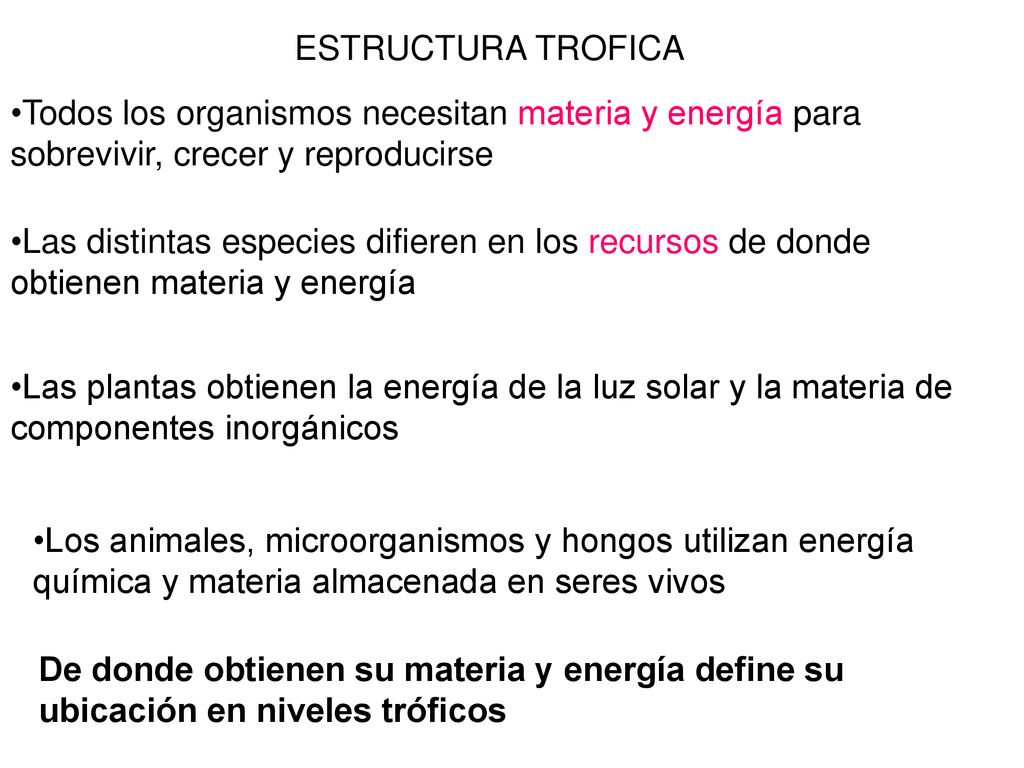 ESTRUCTURA TROFICA Todos los organismos necesitan materia y energía para sobrevivir, crecer y reproducirse.