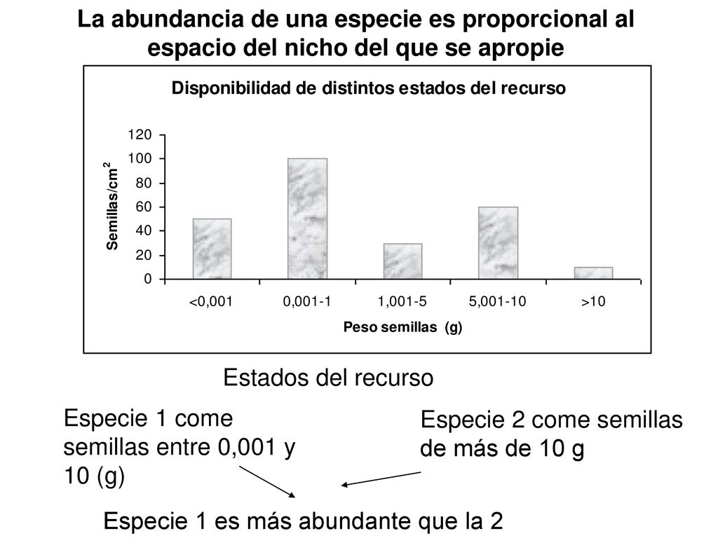 La abundancia de una especie es proporcional al espacio del nicho del que se apropie