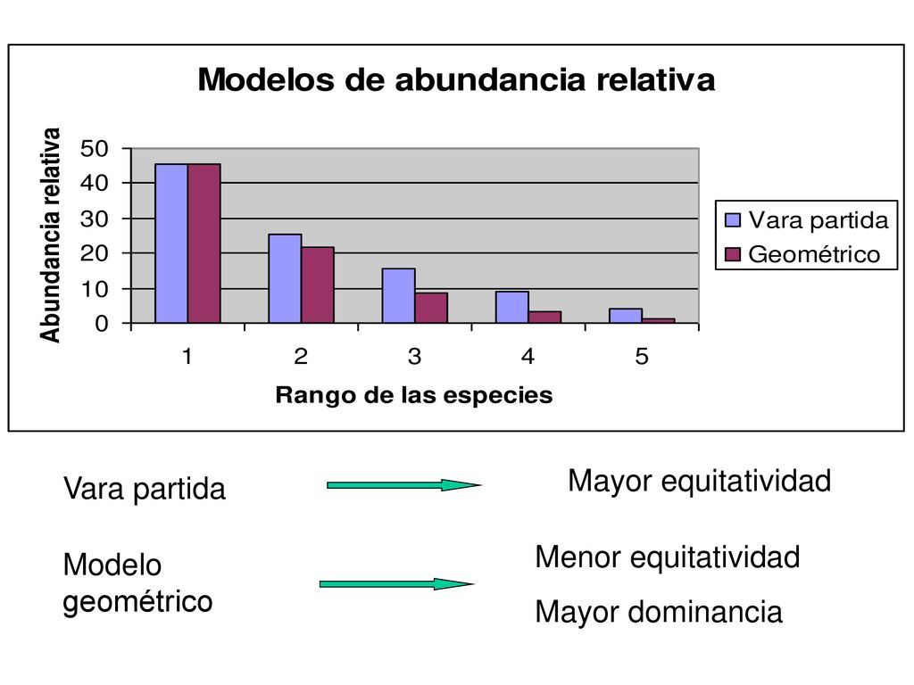 Mayor equitatividad Vara partida Menor equitatividad Mayor dominancia Modelo geométrico