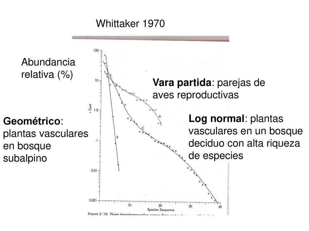 Whittaker 1970 Abundancia relativa (%) Vara partida: parejas de aves reproductivas.