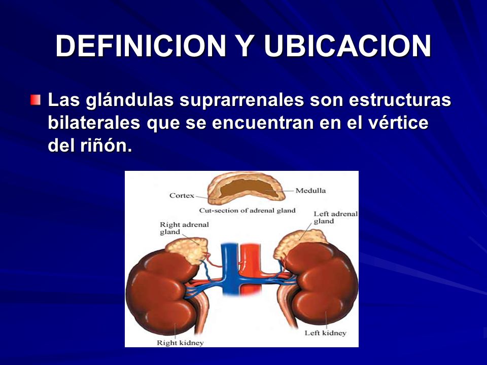 DEFINICION Y UBICACION