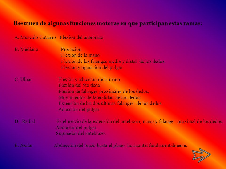 Resumen de algunas funciones motoras en que participan estas ramas: